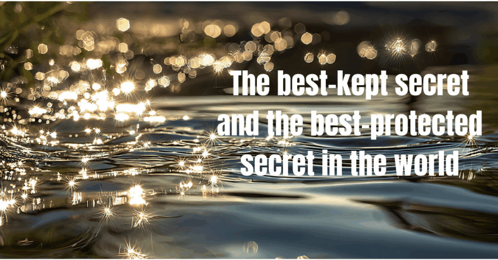 The best-kept secret and the best-protected secret in the world is the infinite power of water.
