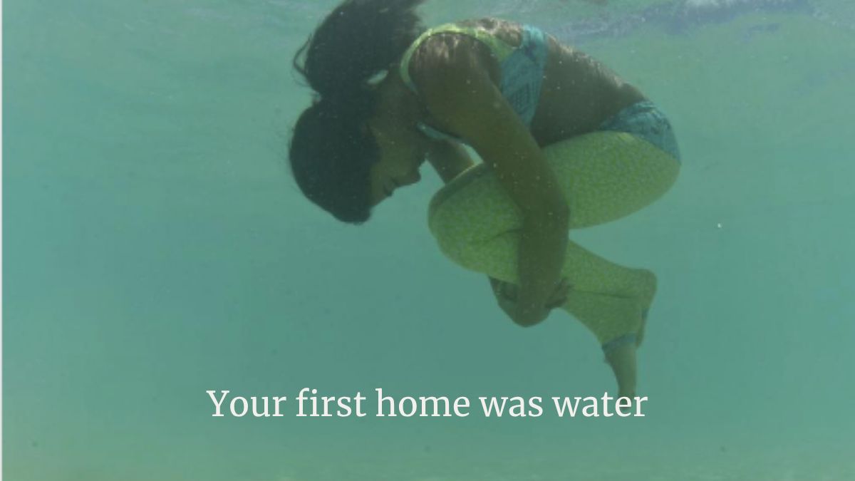 Your First Home Was Water